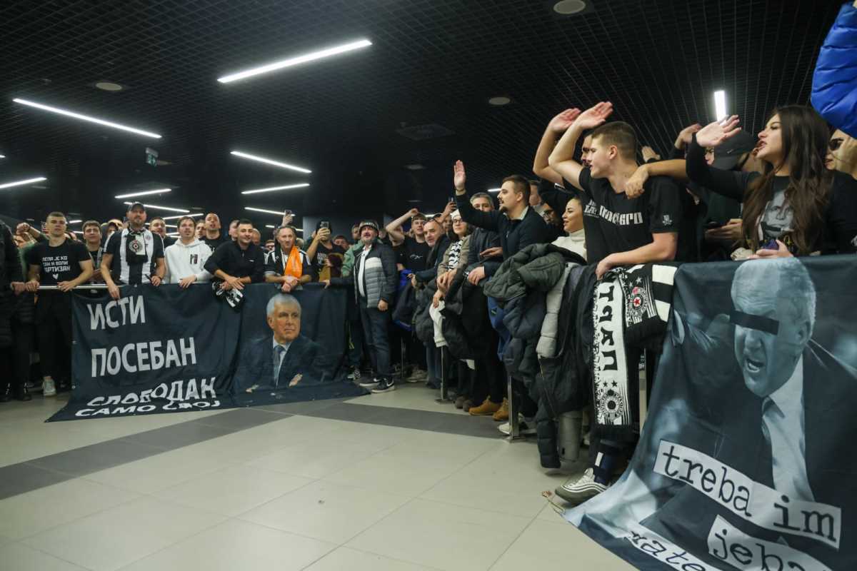 WhatsApp Image 2025-11-27 at 17.22.23.jpeg