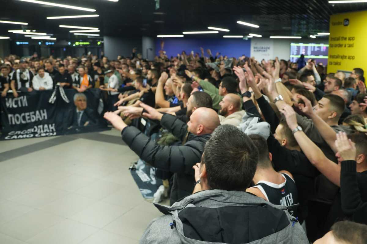 WhatsApp Image 2025-11-27 at 17.22.20 (1).jpeg