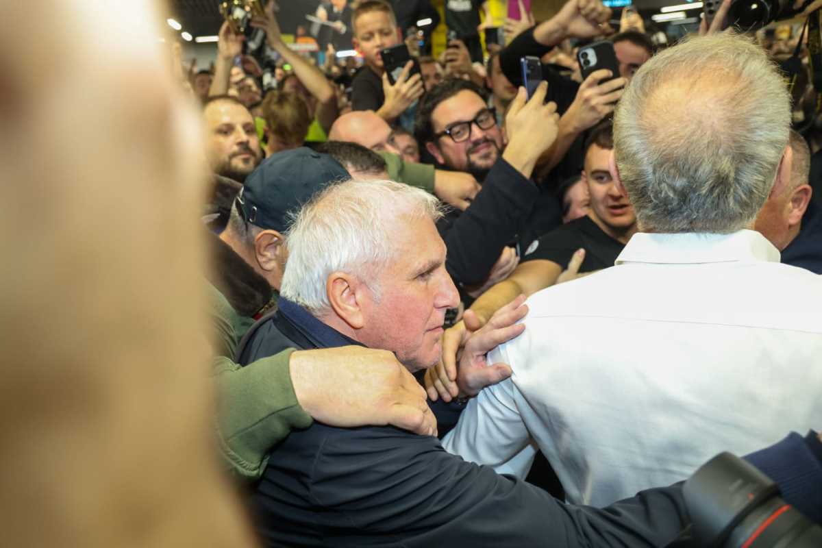 WhatsApp Image 2025-11-27 at 18.59.11.jpeg