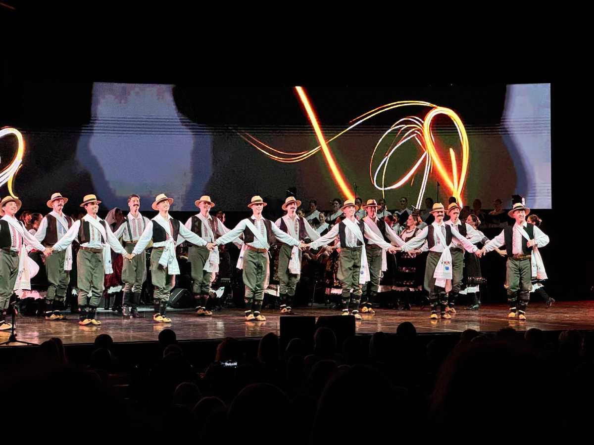 Ansalmb Kolo (1).jpeg