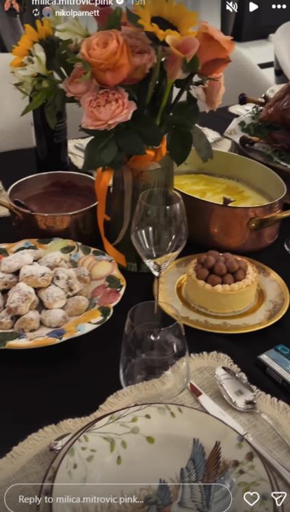 Slavlje u domu Željka Mitrovića