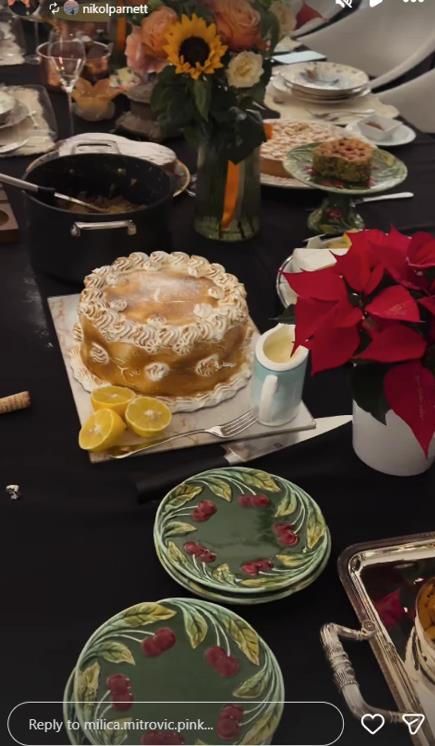 Slavlje u domu Željka Mitrovića