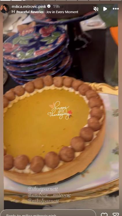 Slavlje u domu Željka Mitrovića