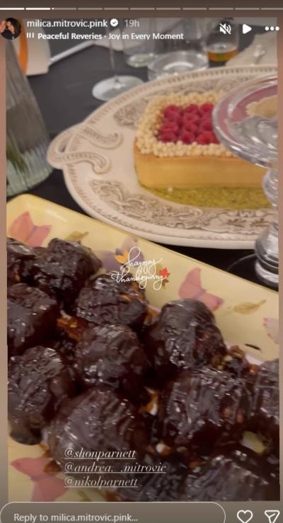 Slavlje u domu Željka Mitrovića