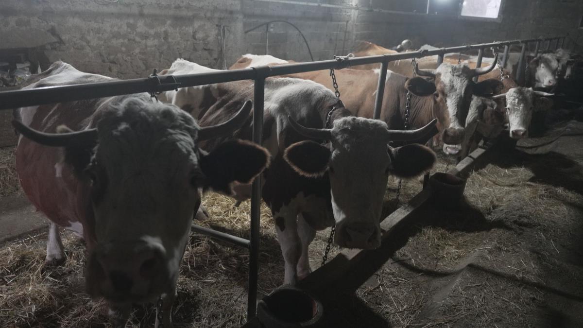 1764422445IVANJICA-PORODICA-BIZNIS-FOTORINA (4).jpg