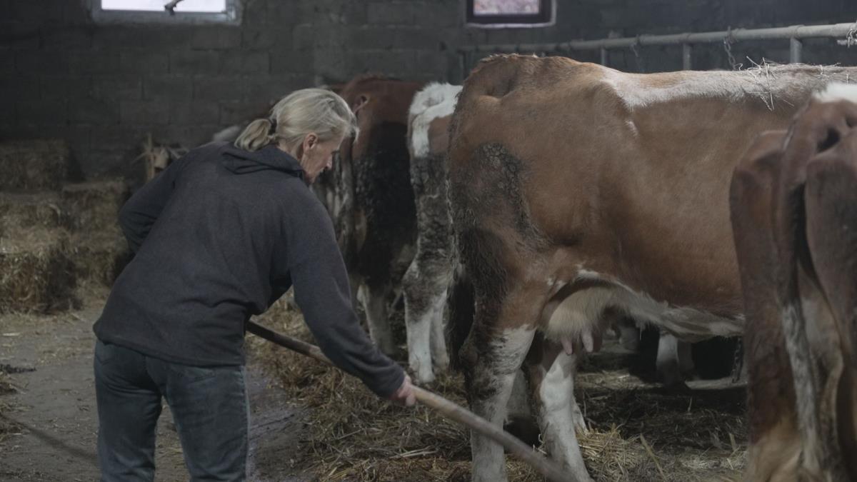 1764422442IVANJICA-PORODICA-BIZNIS-FOTORINA (5).jpg