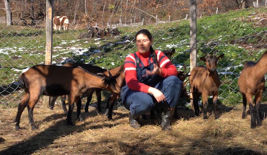 Screenshot 2025-12-01 130345.png