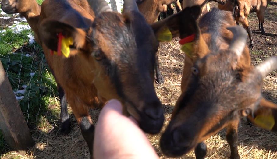 Screenshot 2025-12-01 130330.png