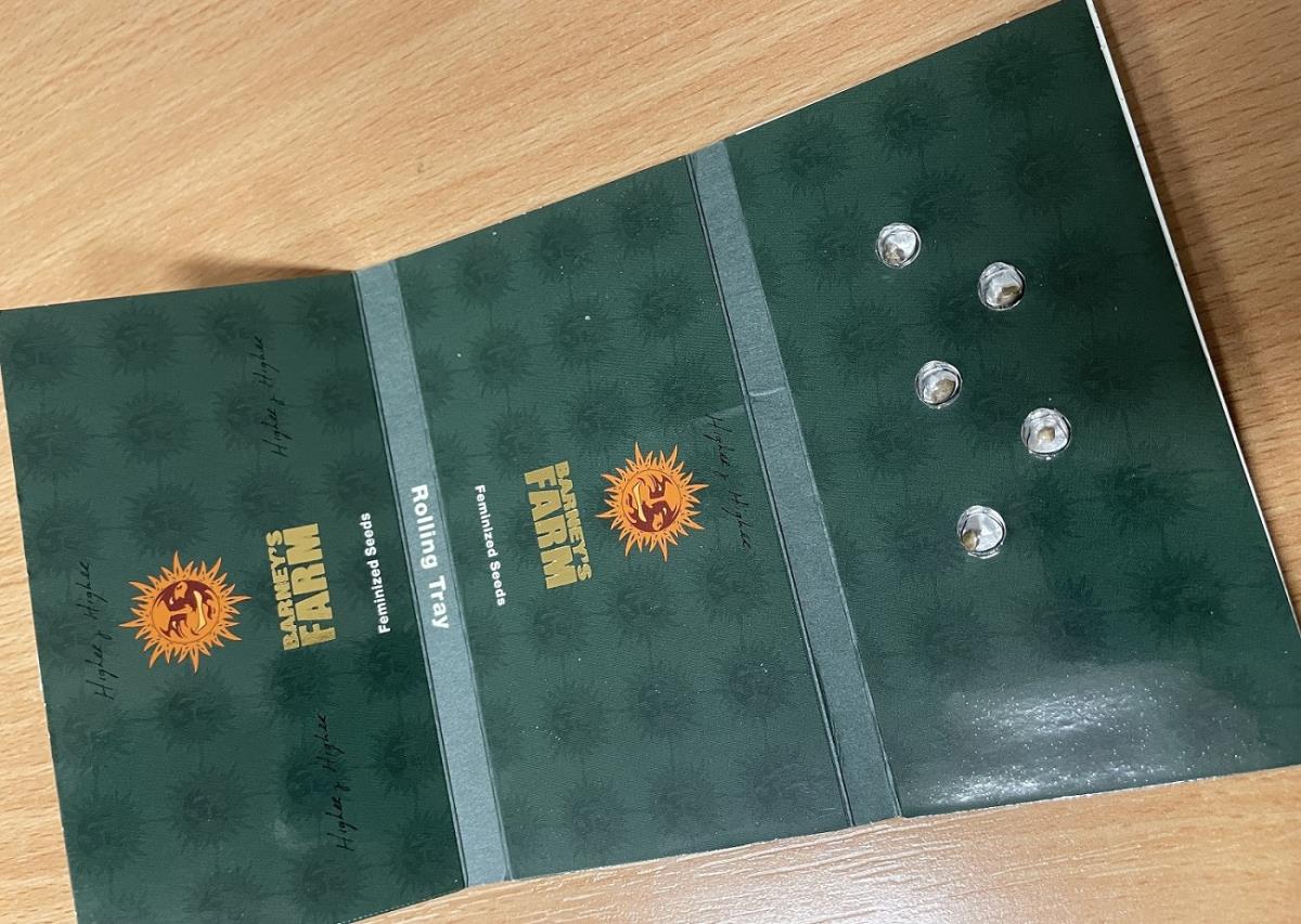 Gradina srebrnjaci investiciono zlato hašiš kanabis