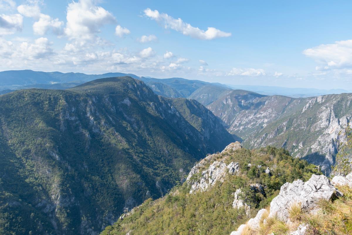 17646076631605091225Национални парк Тара Јавно предузеће Бајина Башта - СРБИЈА Н.jpg