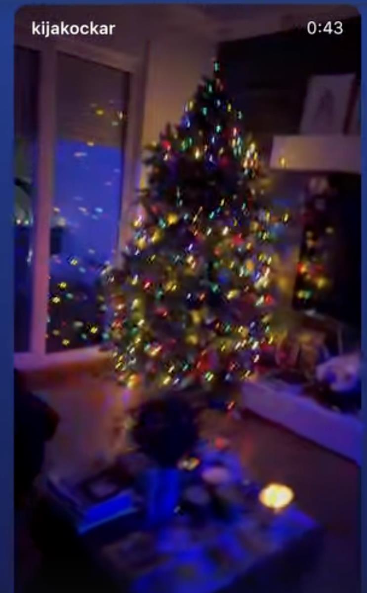 JELKA DO PLAFONA, A TEK DA VIDITE KAKO JOJ DOM SIJA! Kija se ove godine baš potrudila sa ukrasima: Krenula novogodišnja euforija