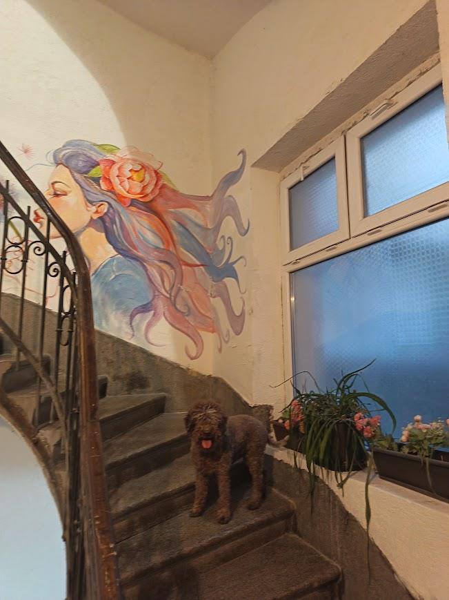 WhatsApp Image 2025-12-02 at 5.03.18 PM (5).jpeg