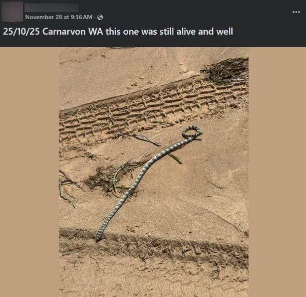 Screenshot 2025-12-03 190159.png