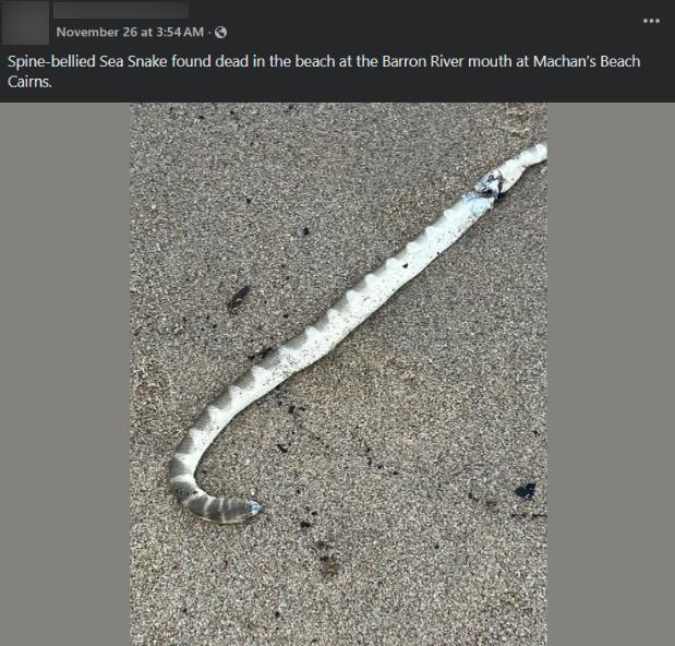 Screenshot 2025-12-03 190140.png