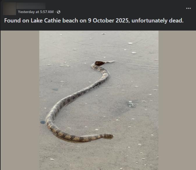 Screenshot 2025-12-03 190102.png