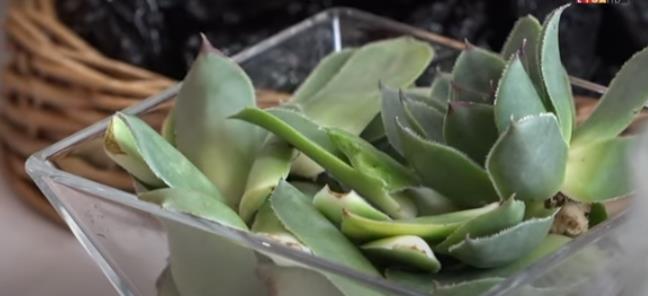 Screenshot 2025-12-04 105037.png