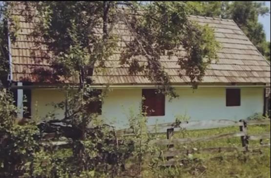 Stanojka Mitrović Ćana je odrasla u kući u šumi