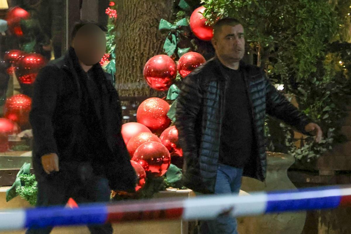 Nenad Alajbegović Alibeg