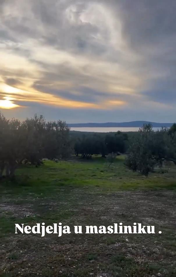 Danijela Dvornik pokazala imanje