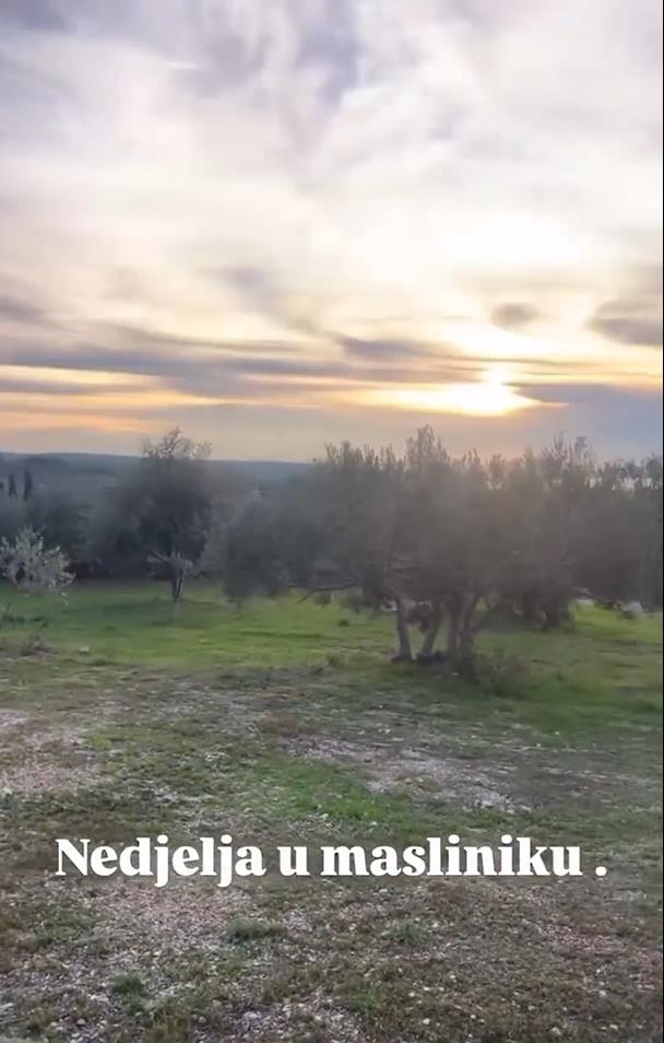 Danijela Dvornik pokazala imanje