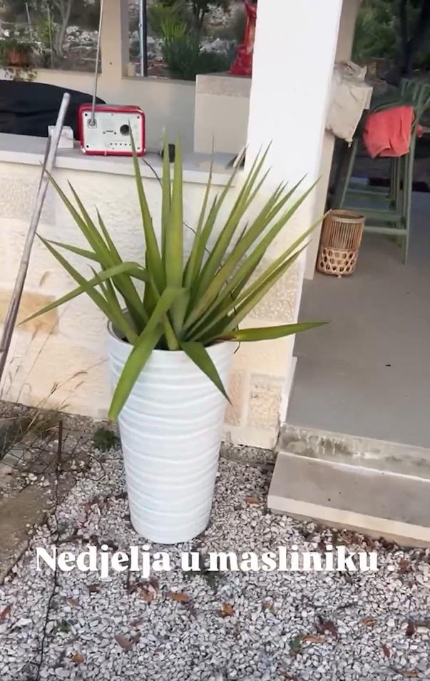 Danijela Dvornik pokazala imanje