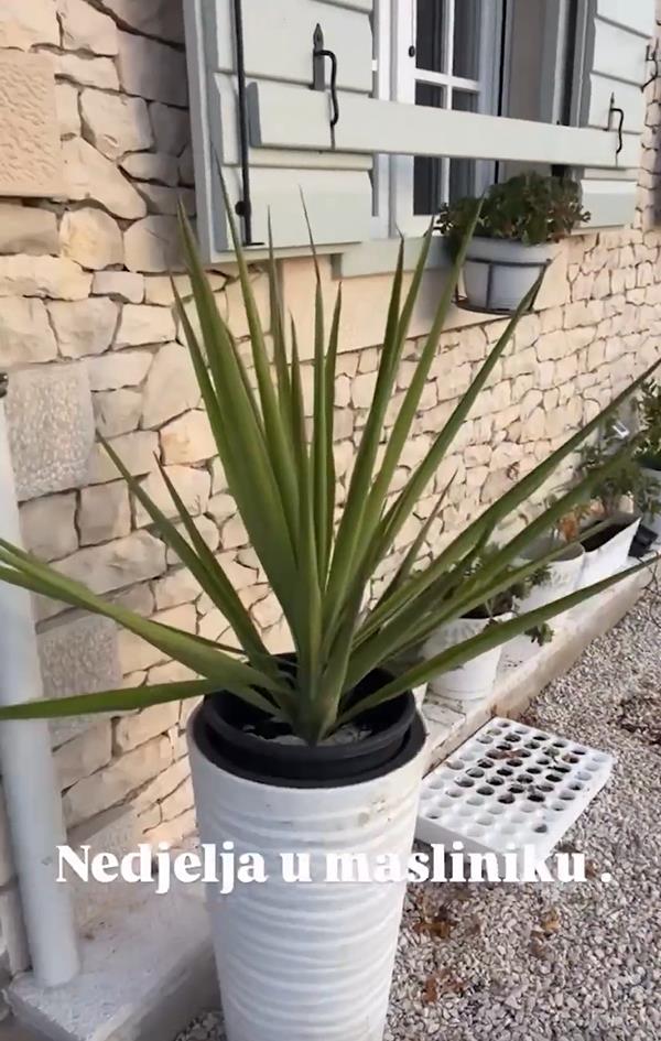 Danijela Dvornik pokazala imanje