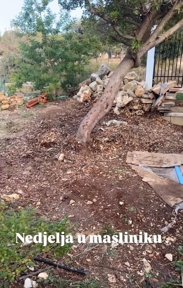 Danijela Dvornik pokazala imanje