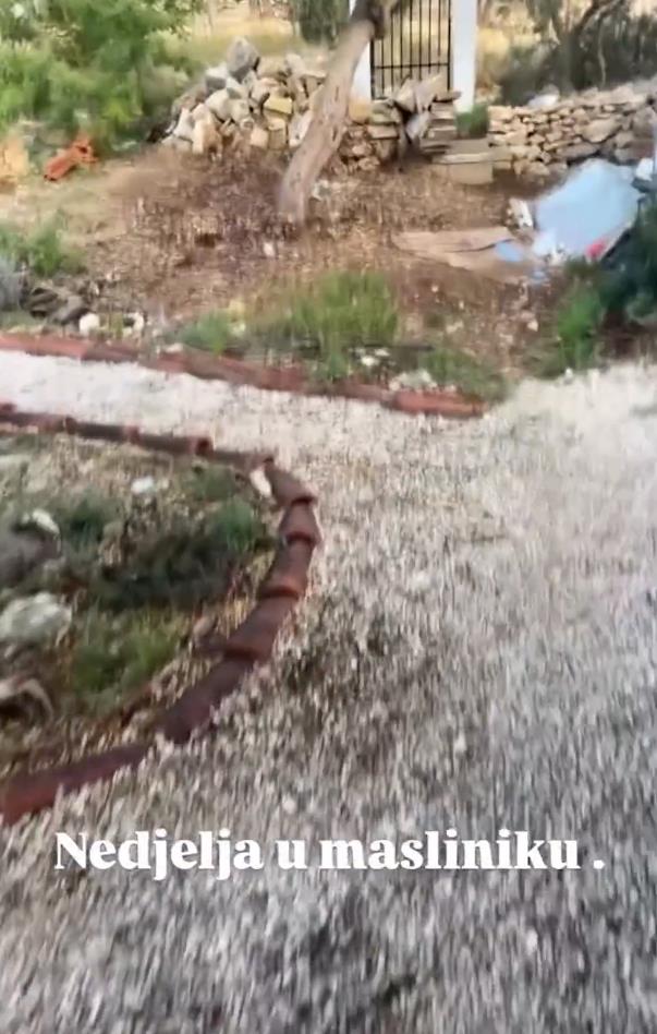 Danijela Dvornik pokazala imanje