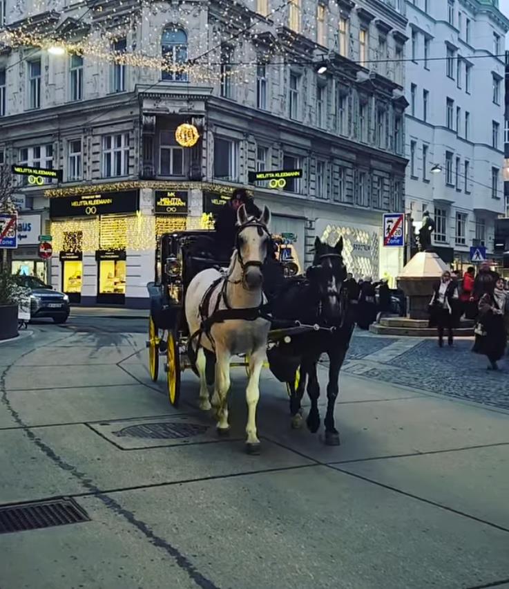 Milica Milša i Danica Ristovski u Beču (5).png