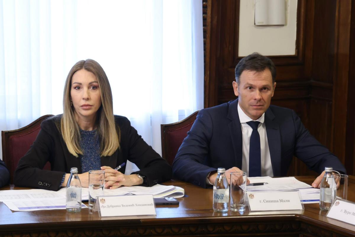 Dubravka Đedović Handanović Siniš Mali