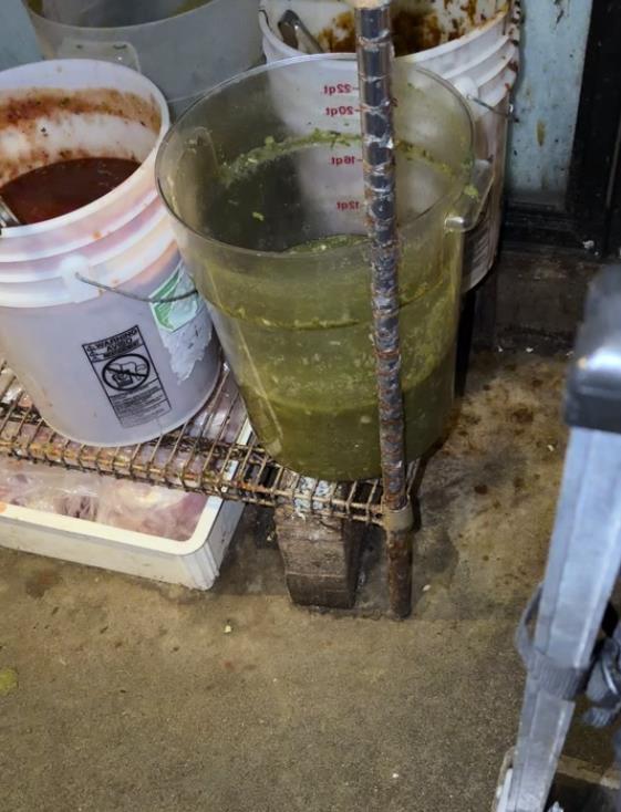 Žena se ušunjala u skladište restorana i zgrozila se prizorom (1).png