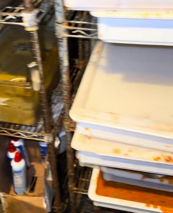 Žena se ušunjala u skladište restorana i zgrozila se prizorom (4).png