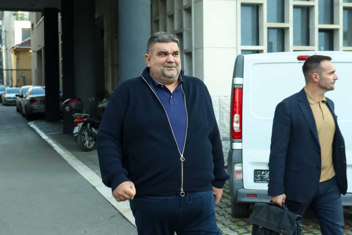 Suđenje Ceca Ražnatović Saša Mirković (6).jpeg