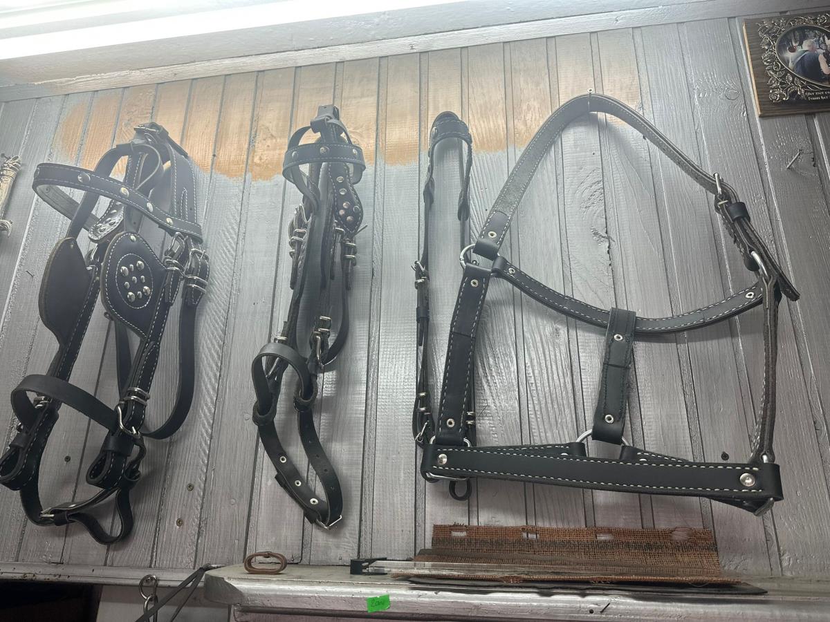 1765188151Saracki zanat od zaborava cuva majstor Perko4_foto_4N Studio.jpg