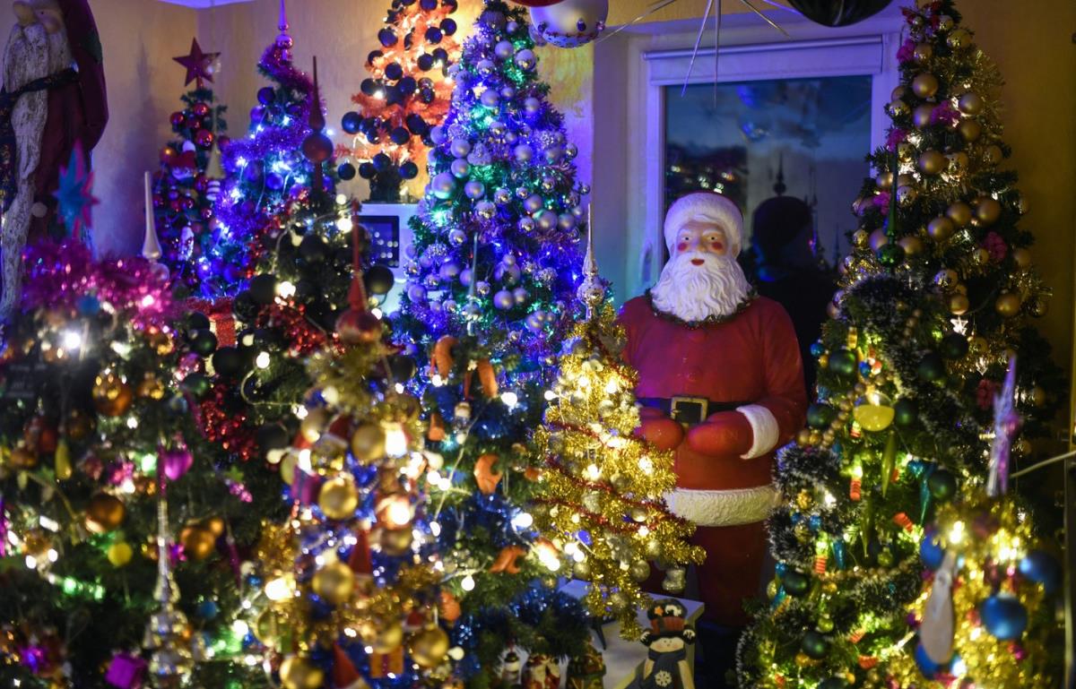 Unutrašnjost kuće sa desetinama okićenih božićnih jelki prepunih lampica