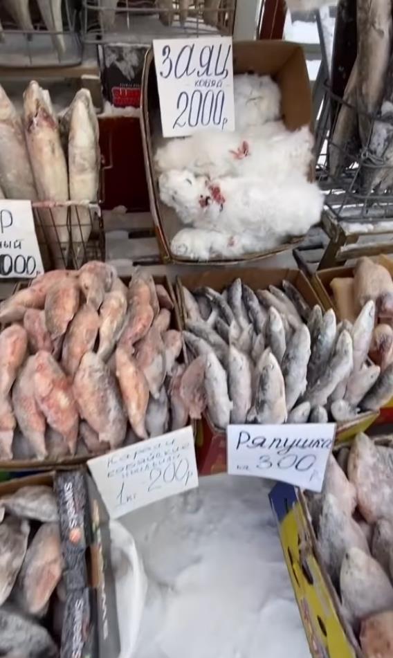 Ledena pijaca u Jakutsku sa smrznutim mesom
