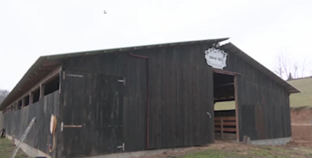 Iz Finske se preselili u selo kod Valjeva 6.jpg