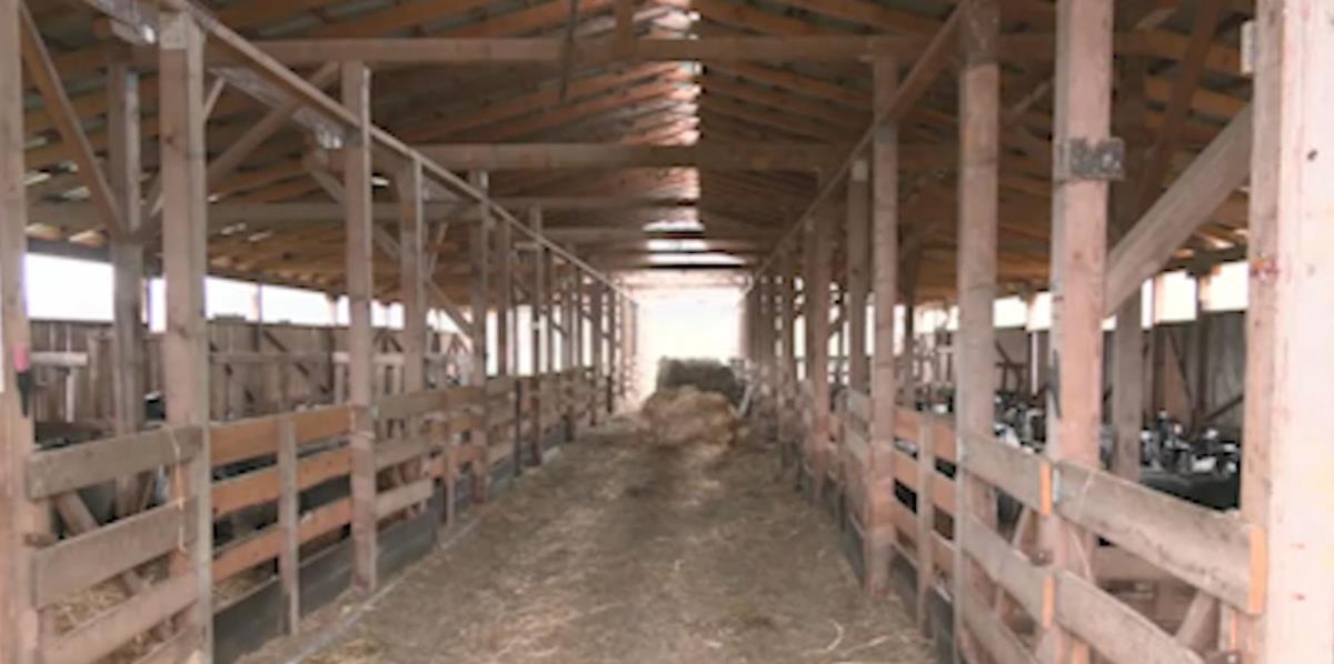 Iz Finske se preselili u selo kod Valjeva 8.jpg