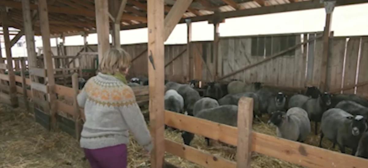 Iz Finske se preselili u selo kod Valjeva 10.jpg