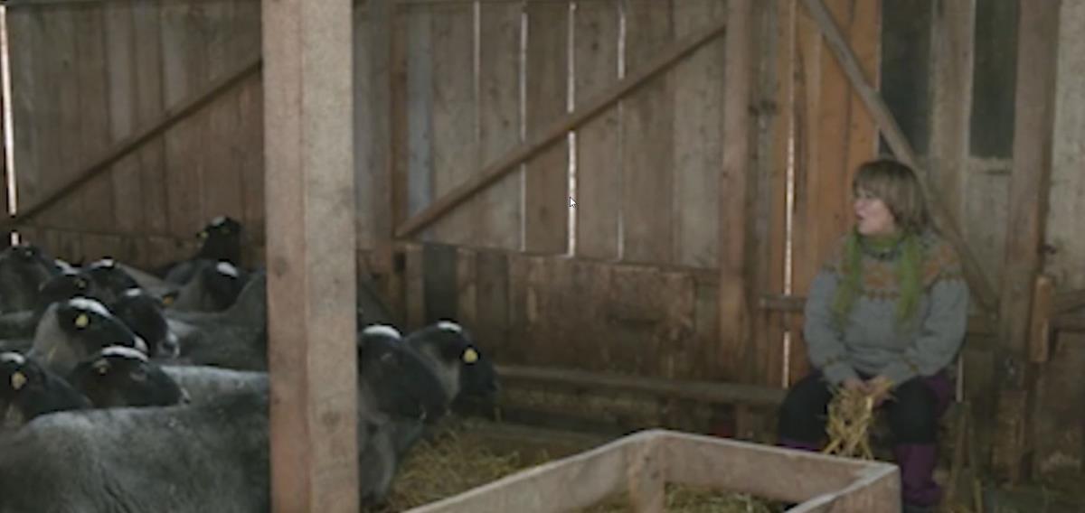 Ivan i Mia Tadić se iz Finske vratili u selo kod Valjeva