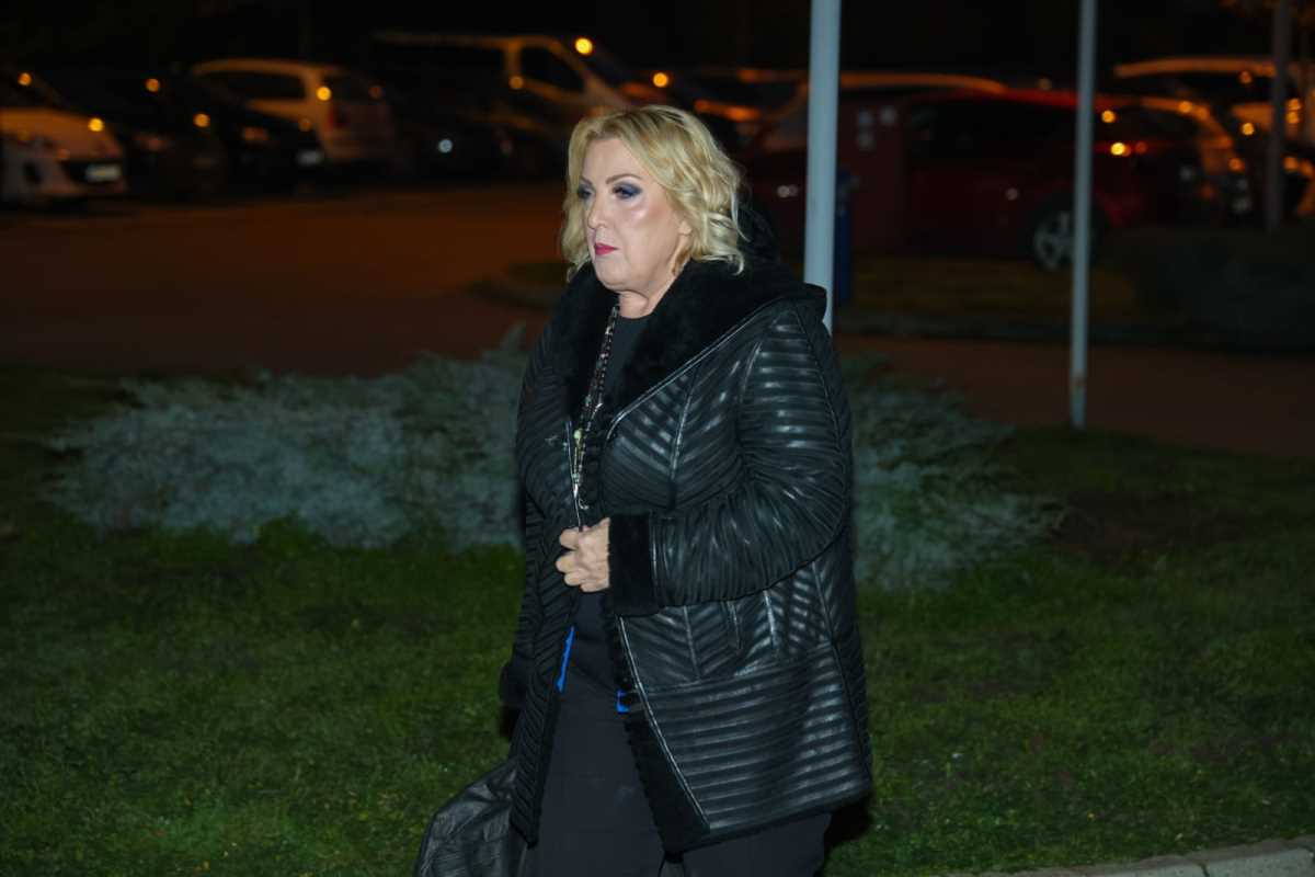 Pink novogodišnji program (7).jpeg