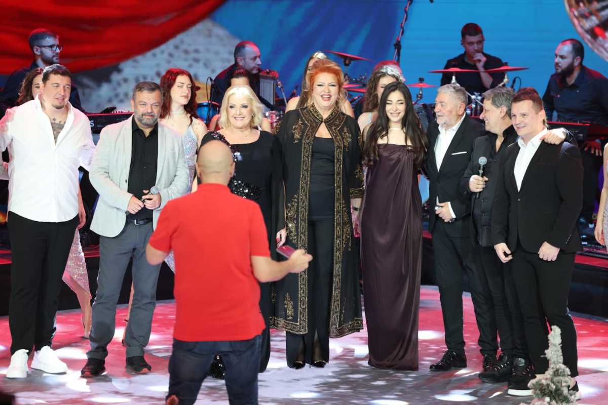 Pink novogodišnji program (8).jpeg