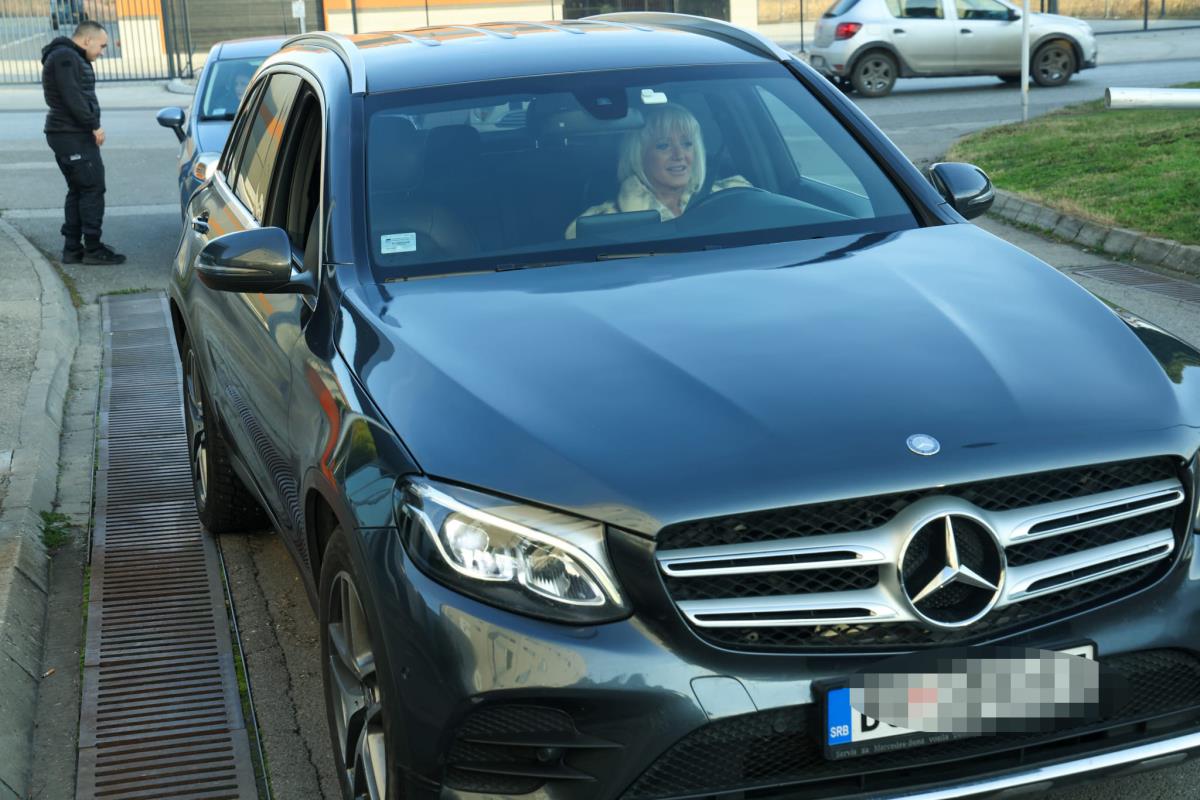 Pink novogodišnji program