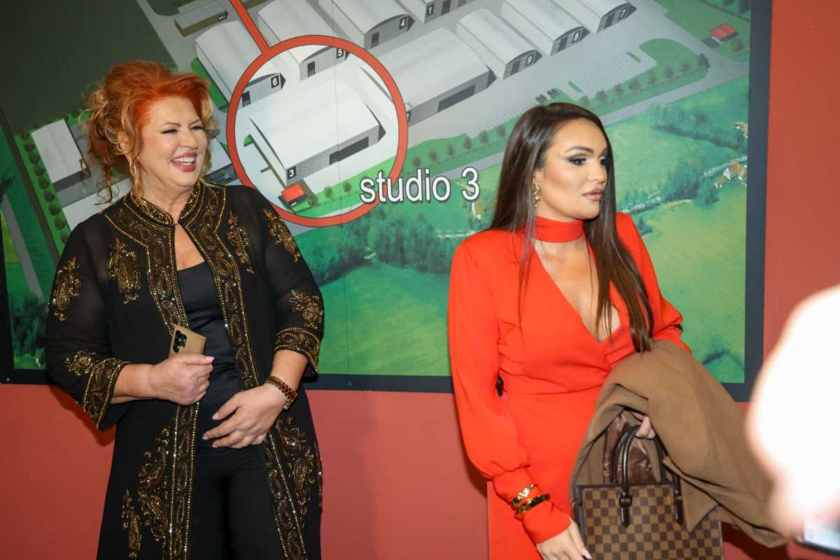 Pink novogodišnji program (6).jpeg