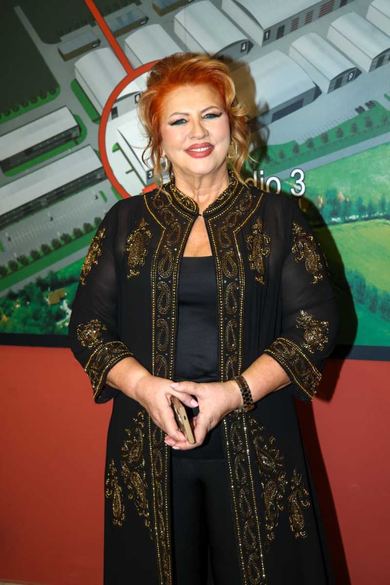 Pink novogodišnji program (9).jpeg