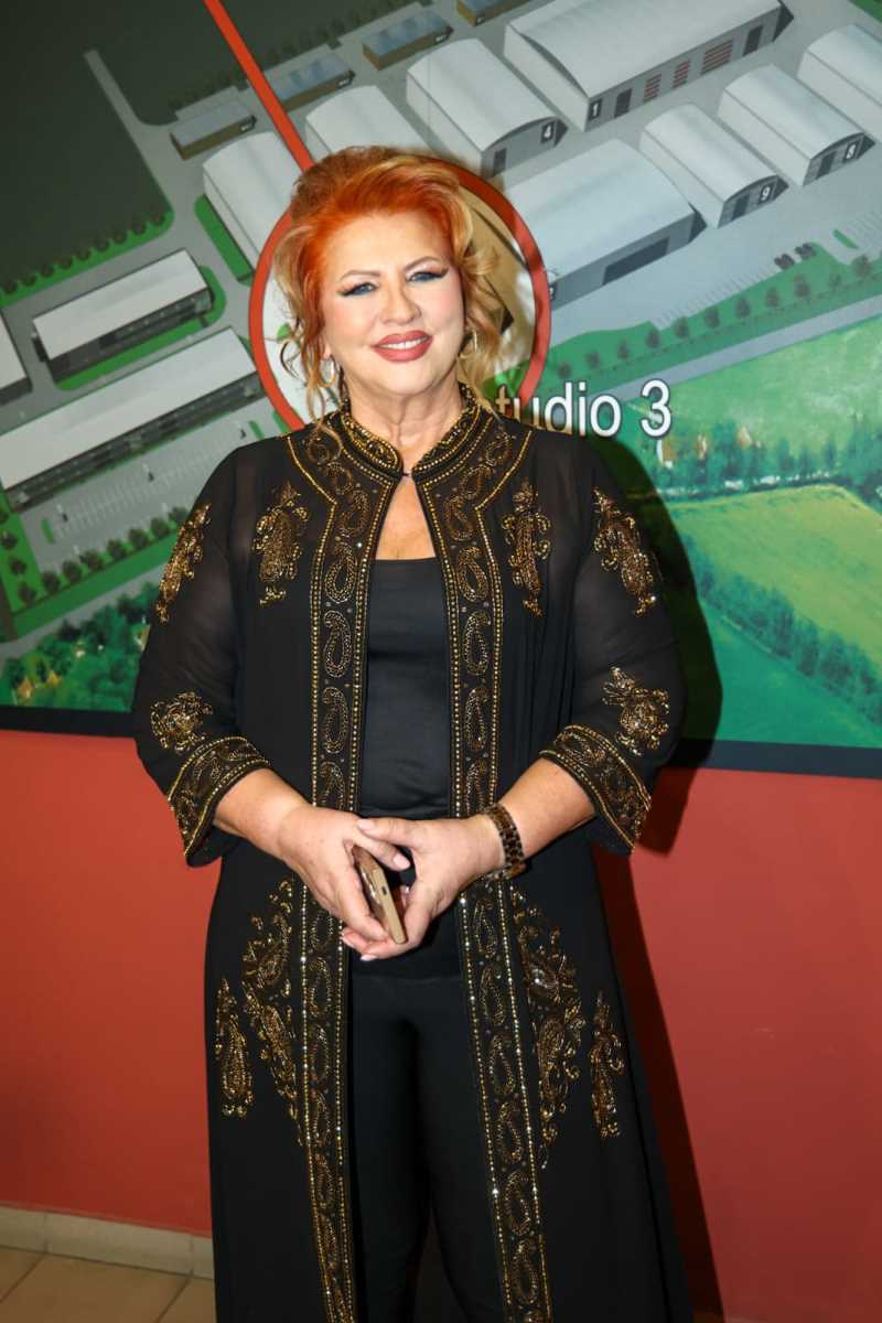 Pink novogodišnji program (13).jpeg