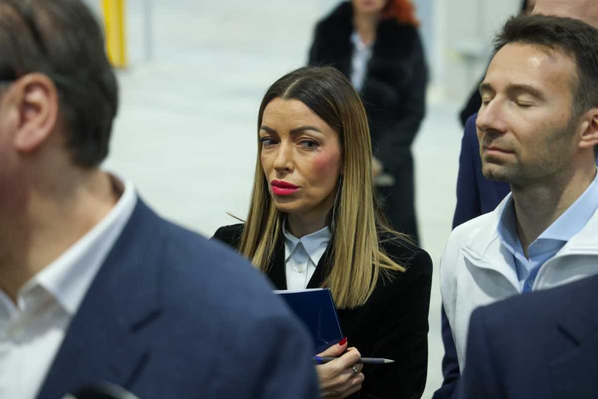 Aleksandar Vučić (7).jpeg