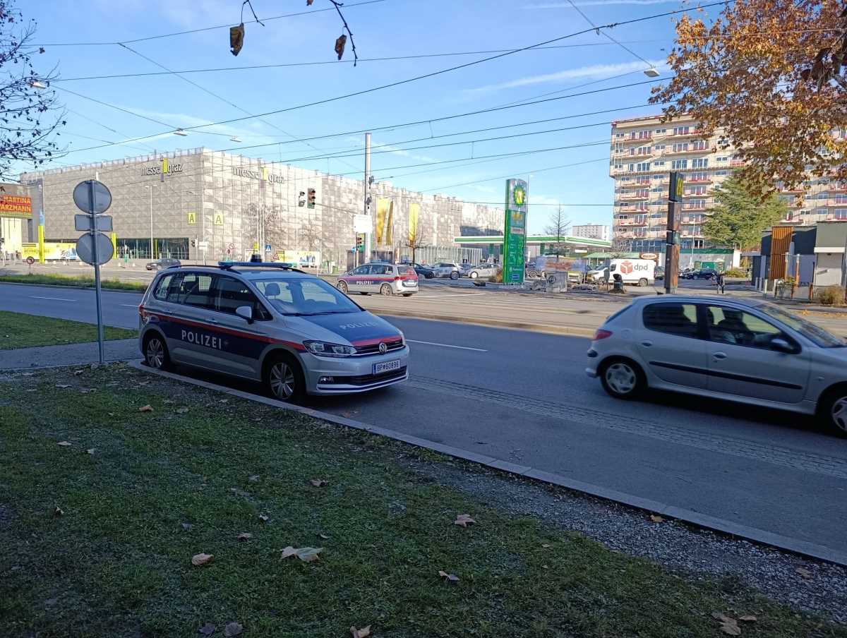 WhatsApp Image 2025-12-11 at 2.59.27 PM.jpeg