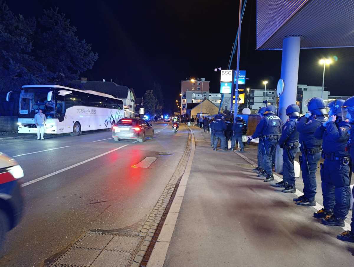 WhatsApp Image 2025-12-11 at 5.10.23 PM.jpeg