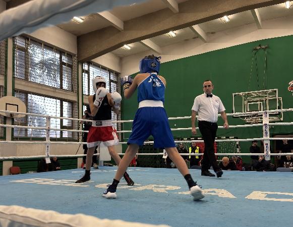 Boks Kup Čukarice.jpg